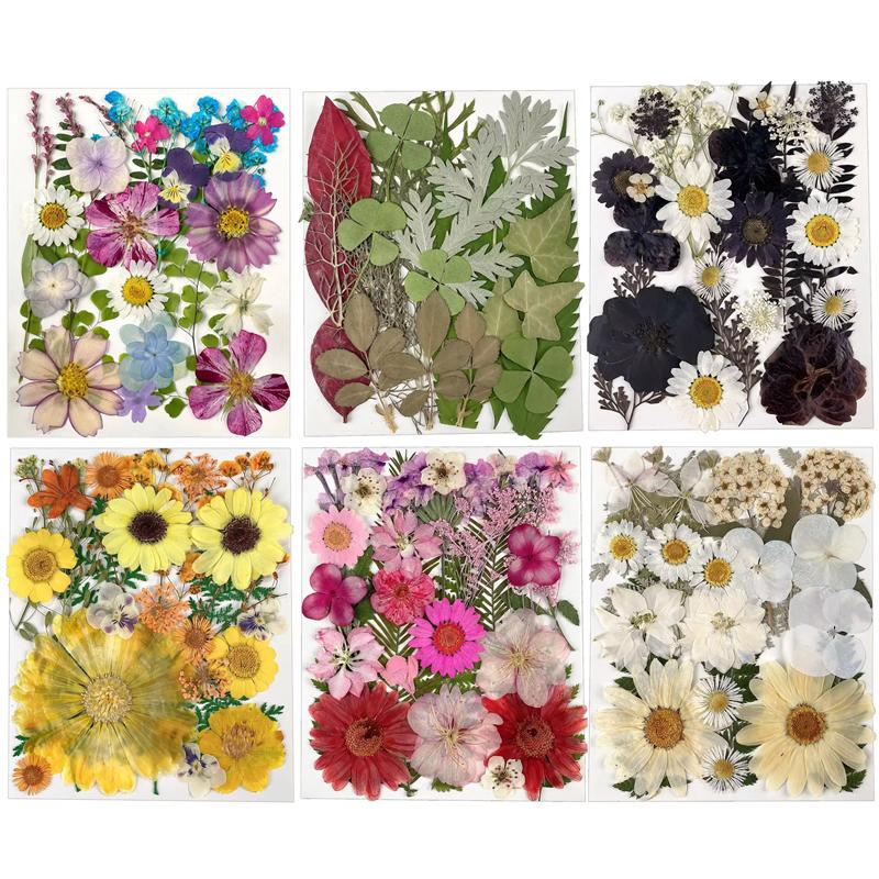25PCS Dried Flowers Set for DIY Resin Pendant Making Filling Pressed Real Natural Flowers Leaves for Bookmark Phose Case Making