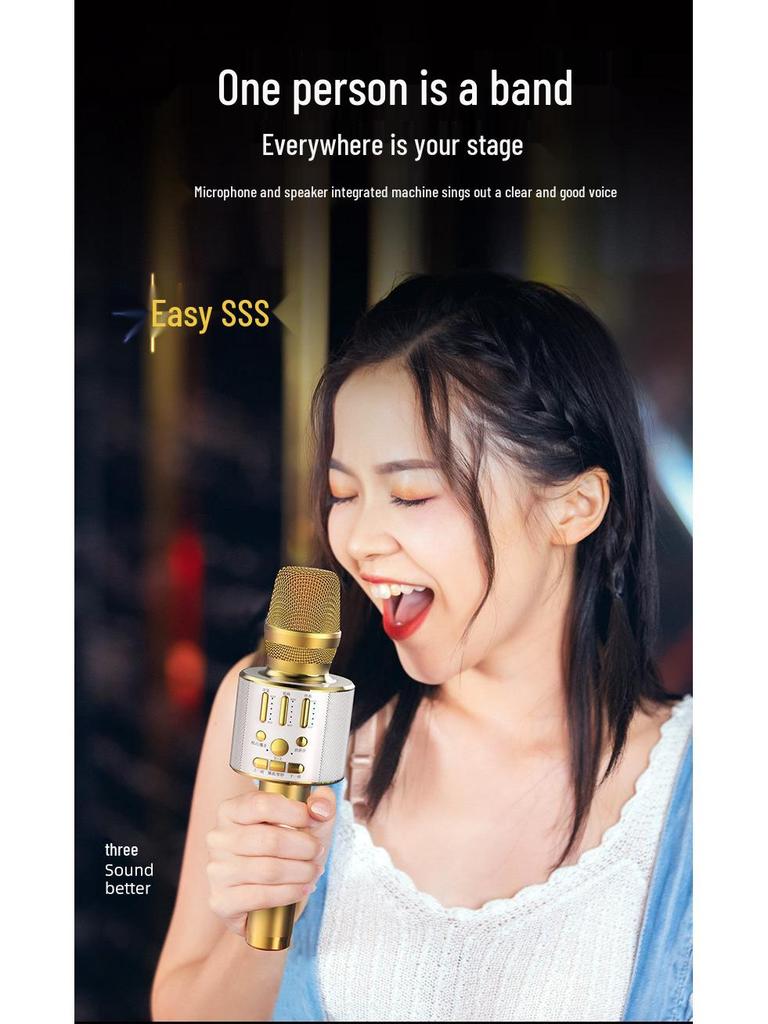 Wireless Bluetooth K-Song Microphone & Speaker with Built-in Sound Card for TV and Mobile