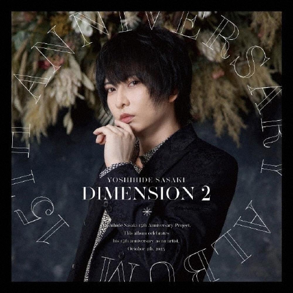 

Сасаки Ёсихидэ CD Альбом Dimension 2 Тип B