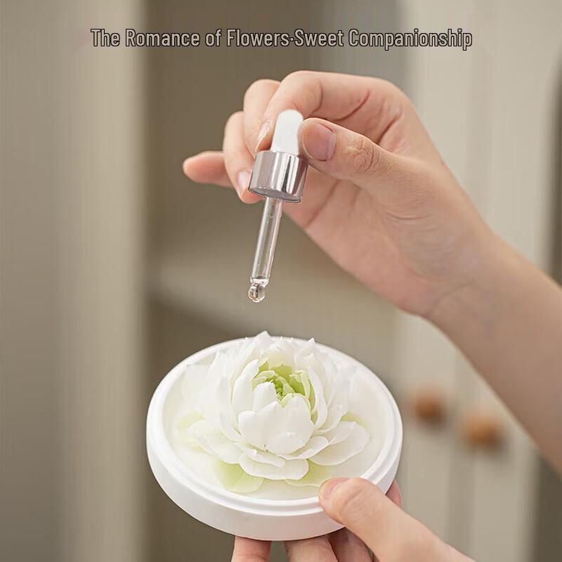 Elegant Light Green Gradient Ceramic Tea & Aroma Gift Set