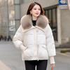 Short down cotton clothes for women, winter small men, new Korean version loose lapel large fur collar jacket for women