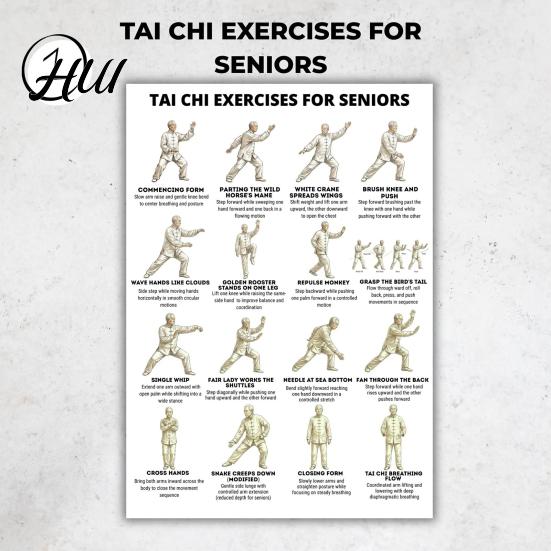 Tai Chi Per Donne di Mezza Età Set di 3 Poster Guida all'Esercizio per Anziani Allenamento per Principianti Tabella di Allenamento Regolazione Qi e Sangue Anziani Basso Impatto Equilibrio