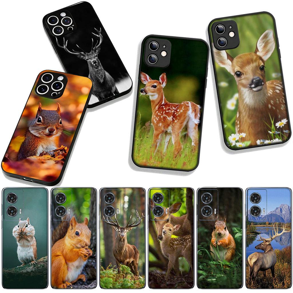 Cover for Apple iPhone 16 15 14 Plus 13 12 Mini 17 Pro Max + ProMax 16E Air Phone Case Sika Deer Squirrel