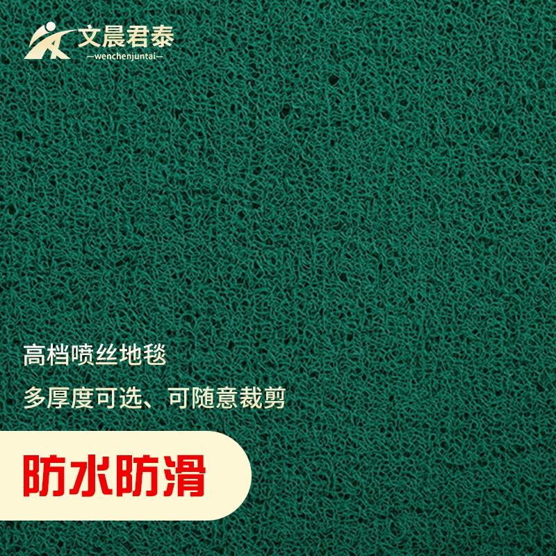 Wen Chen Jun Tai Anti-Slip Loop Pile Entrance Mat 1.8m x 1m