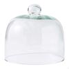 Cake Lid Display Cloche for Food Restaurants Home