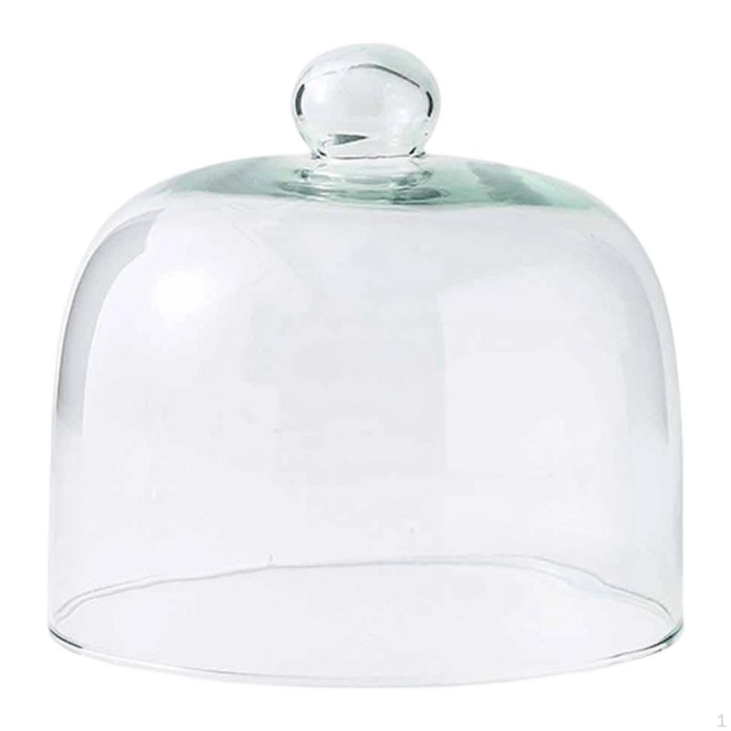 Cake Lid Display Cloche for Food Restaurants Home
