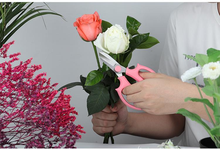 Stainless Steel Flowers Fruit Picking Branch PP Anti-Slip Grip Handle Pruning Shears Bonsai Scissors for Garden Blue Pink Color