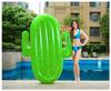Inflatable Pineapple Cactus Watermelon Pizza Rainbow Pool Float Set