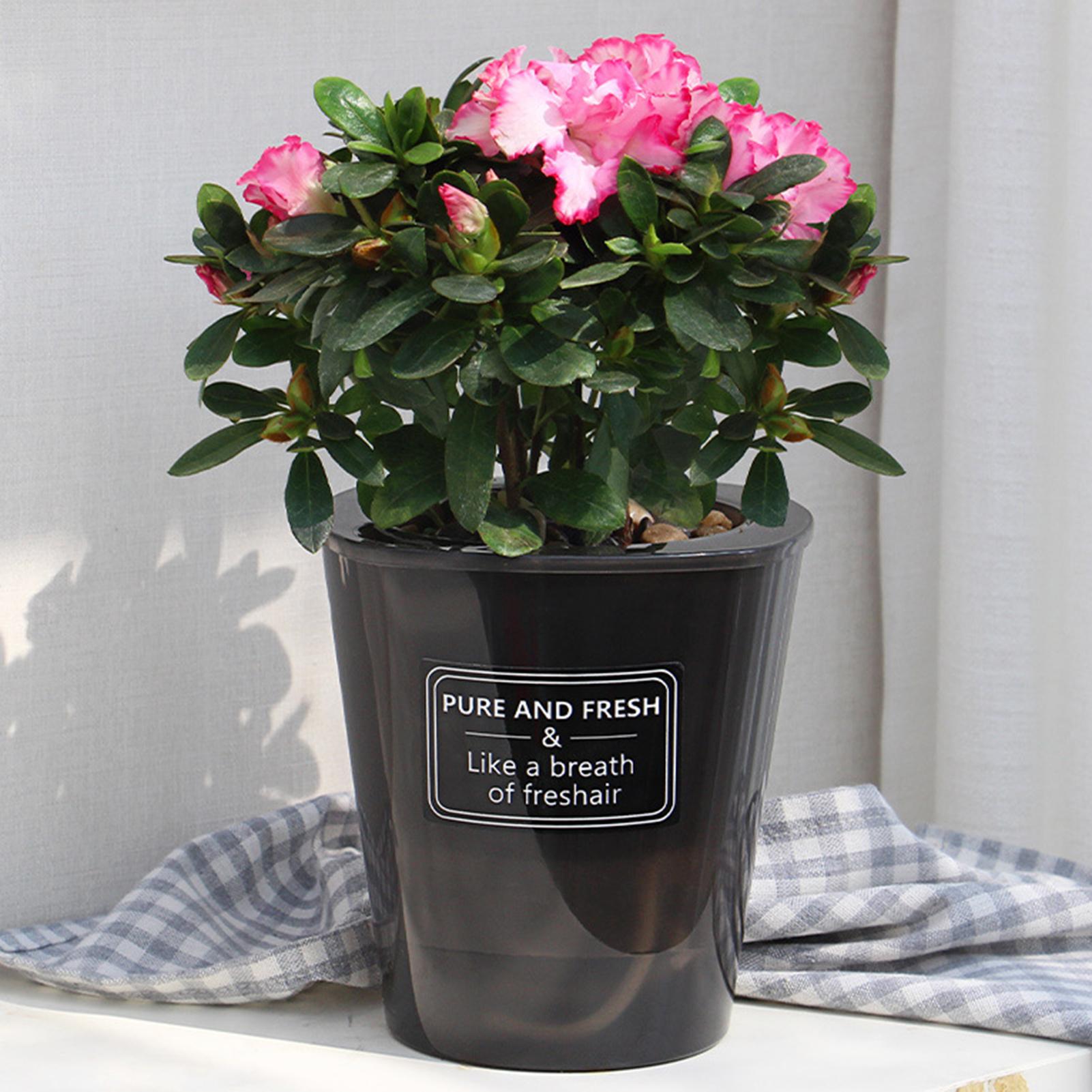 Creative Hydroponic Flower Pot No Deformation Pretty Flower Pot for Plant Roots Breathing and Draining Better