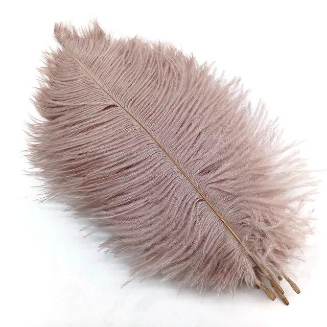 10Pcs Ostrich Feathers Decorative Vase Pluma Wedding Table Centerpieces Carnival Accessories DIY Creative Leisure Craft Supplies