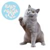20Pcs Pet Dog Cat Anti-Scratch Soft Silicone Nail Caps Protective Covers Sheath For Home 10ml