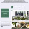 Artificial Moss Plant Wall for Landscaping and Window Decor - Fake Bonsai and Preserved Green Moss