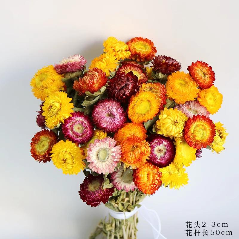 Daisies dried flower bouquet decorative ornament shooting props natural real flower arrangement bedroom dried bouquet