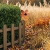 Yousheng Rustic Flower Ground Stake, Vintage Metal Garden Art, Weather-Resistant Rusted Iron Yard Decor for Lawn Pathway Patio and Planters