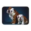 English Bulldog Doormat Non-Slip Bath Kitchen Mat Bedroom Balcony Door Floor Entrance Carpet Rug