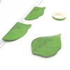 Simulation Leaves Convenience Stickers Cartoon Small Fresh Notepad Colourful N Times Stickers Wishing Material Stickers