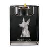 Pharaoh Hound, Kelb tal-Fenek – Candle Holder with Dog Photo, Crystal Tealight Holder |