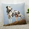 Pillowcase Dalmatians Pillowcase Modern Home Living Room Decoration Pillowcase Customizable