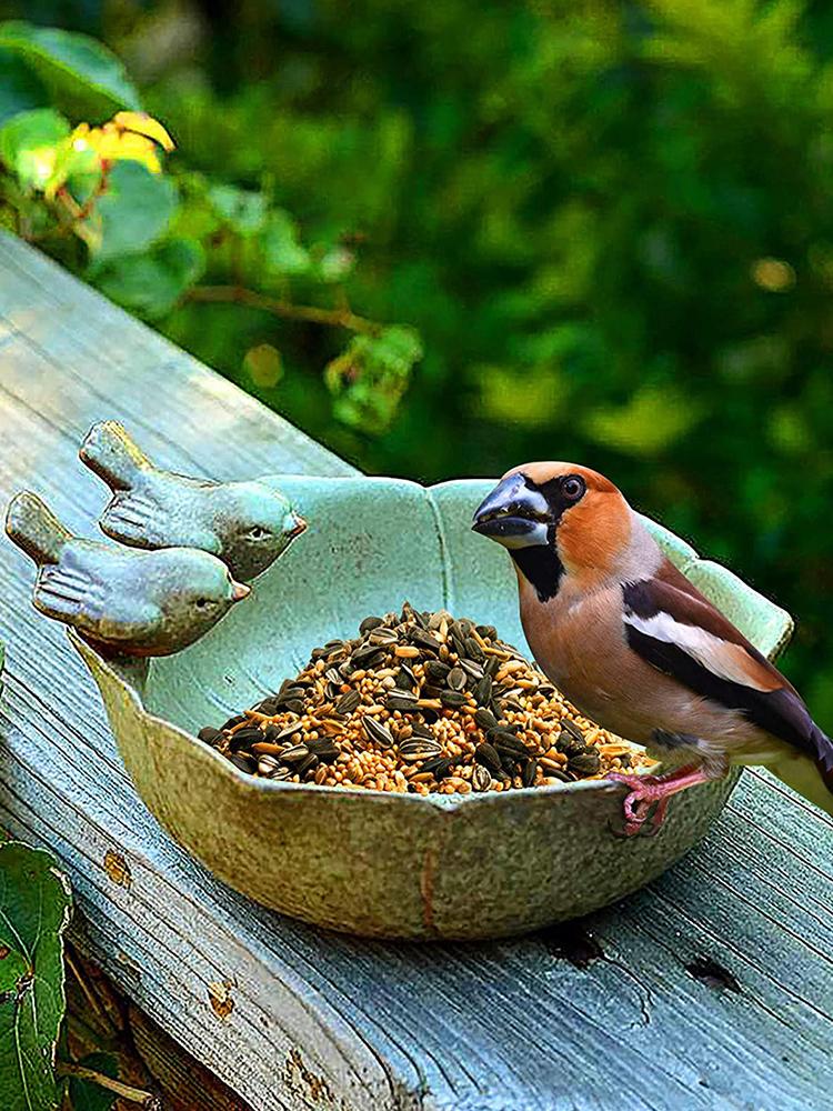 Bird Feeder Yard Ceramic Bird Baths Creative Fruit Tray Bird Feeder Garden Decor Bird Feeder Retro Finish Bird Feeder Tray