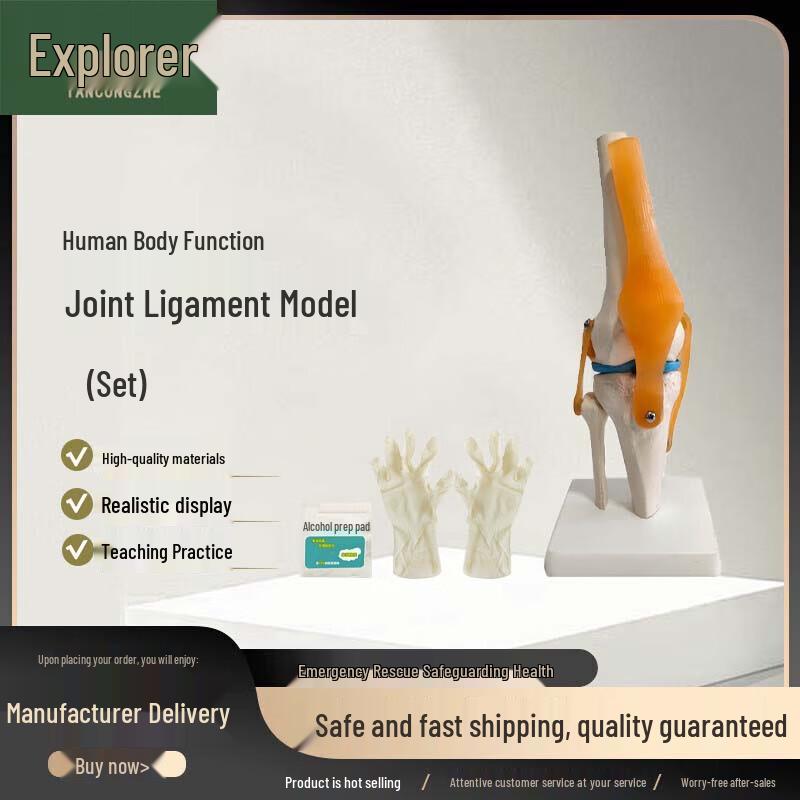 Human Knee Joint Ligament Emergency Training Model
