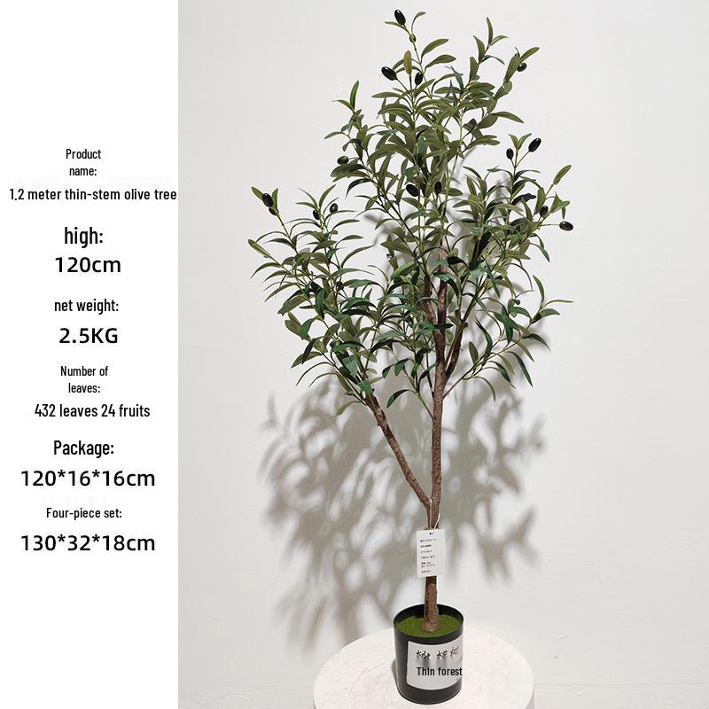 Olive Tree Potted Plant - Indoor Decor Simulation for Living Room