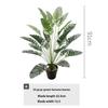 Large Nordic-style Banana Leaf Potted Plant - Indoor Decoration and Landscaping