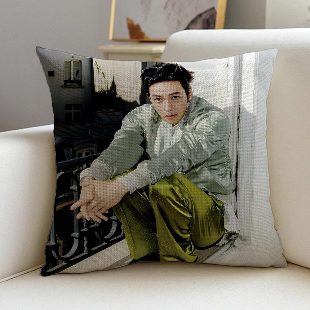 P-Ji Chang-Wook Cushion Cover Natural Linen Pillowcase Set, All-In-One Decor For Sofa, Bedroom & Chair