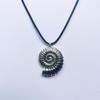 Bohemian Velvet Rope Necklace with Conch & Infinity Clavicle Chain