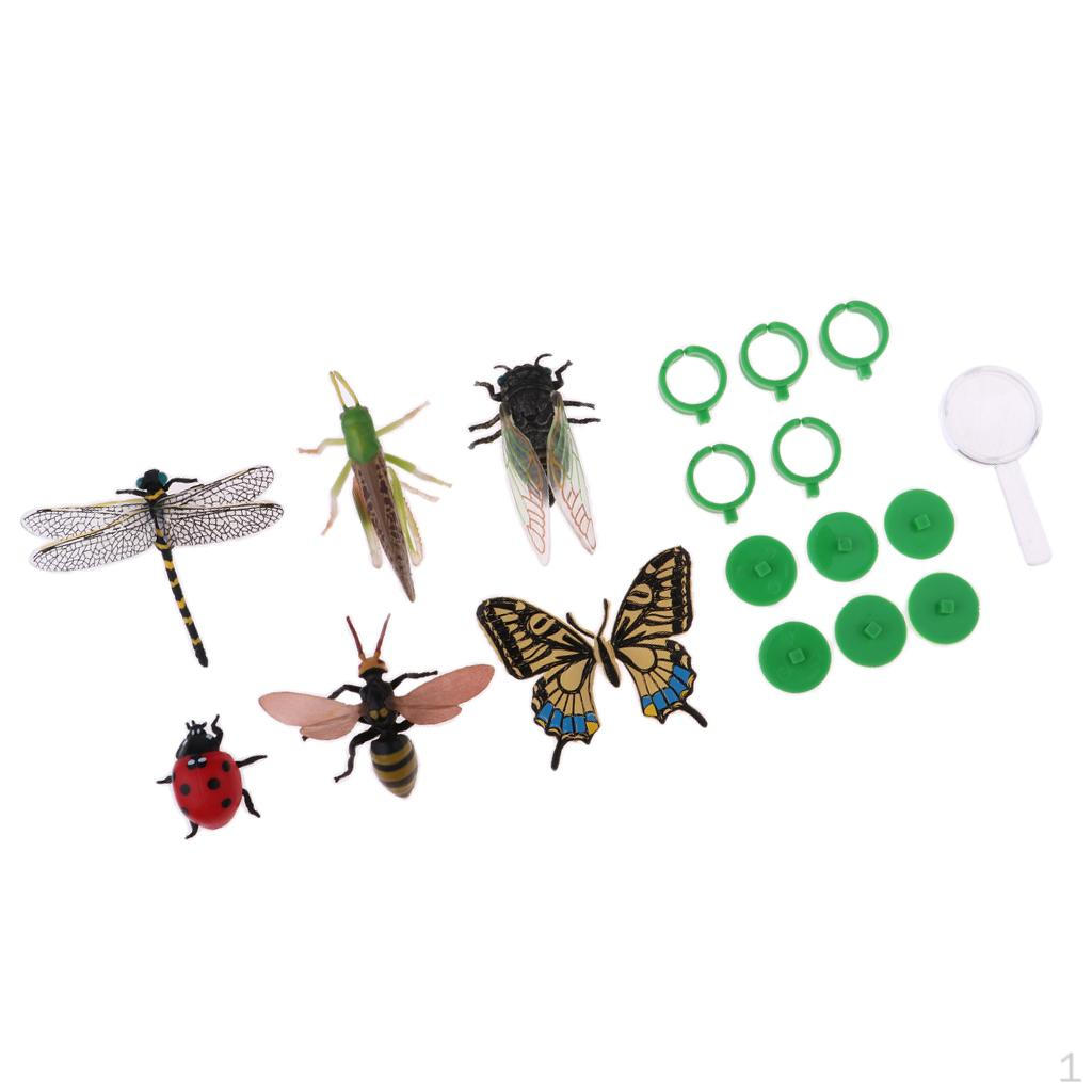 

Puzzle Science Model Simulation Animal Table Scene Learning Toys