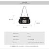 Hand Carry Portable Shell Bag Spring and Summer New Retro Fashion Trendy Leisure Locomotive Style Shoulder Messenger Bag