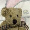 [USED] HANDY Teddy Bear Plush Toy (Used)