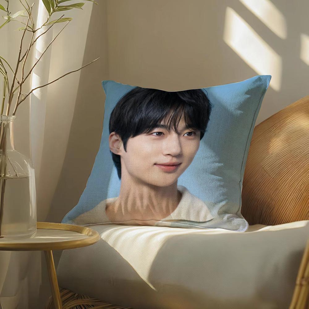 Byeonwoo-Seok Pillow Case Pillowcase, Double-Sided Printed, Sofa Cushion, Bedroom Headboard