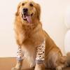Pet Dog Leg Protector Pants for Front Leg Injuries - Warm Joint Sleeve and Knee Pad to Prevent Licking Wounds