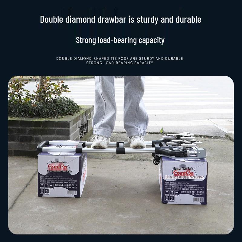 Portable Folding Luggage Trolley for Shopping and Goods