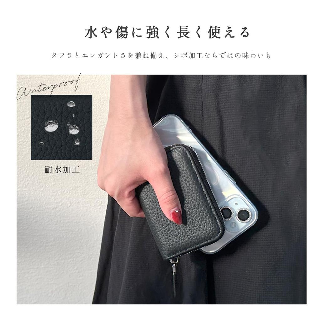 Gisele Card Case, Accordion-style, Large Capacity, Genuine Leather, Compact, Lightweight, Anti-Skimming, Simple Design for Men and Women (Black with