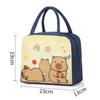 Large Capacity Insulated Lunch Bag Multicolor Waterproof Aluminum Foil Handbag & Cartoon Pattern Insulated Lunch Box Bag