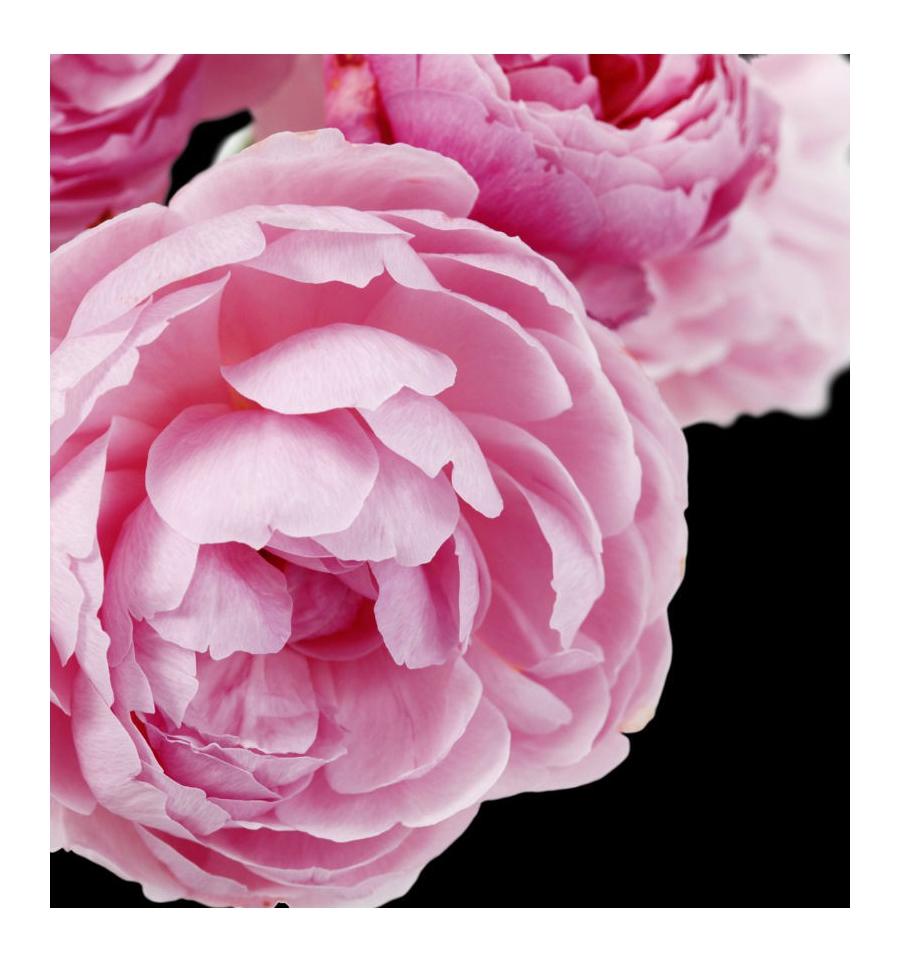 Yodeyma Cheante parfémovaná voda pro ženy 50 ml