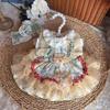 Original Design Vintage Floral Pet Princess Dress Lace Ruffle Tutu Dress for Small Dogs Cats Cute Lolita Style Pet Outfit