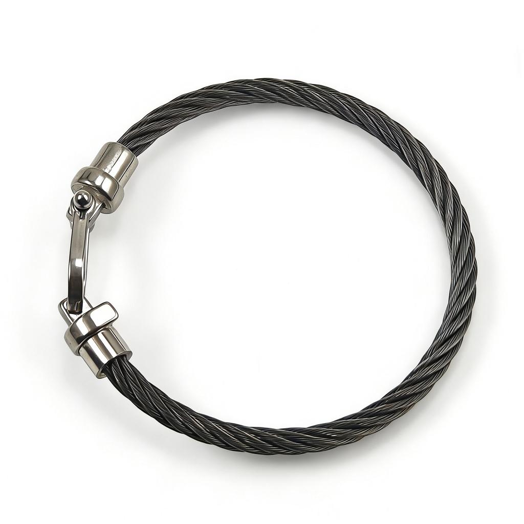 2026 Fashion Trend European and American Horseshoe Magnet Buckle Steel Wire Bracelet Jewelry