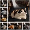 Non-Slip Home Decor Carpet Diatomaceous Earth Cartoon Carpet Cute Cat Area Rug Bedrooms