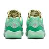 Nike KD 16 NRG EP Wanda Men Tenisky Zelená Mint-Foam Metallic-Silver DV2916-301
