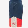 Puma Galleria Puma Men S Athletic fitneSS ShortS Individual viSual Cup aSia Sp