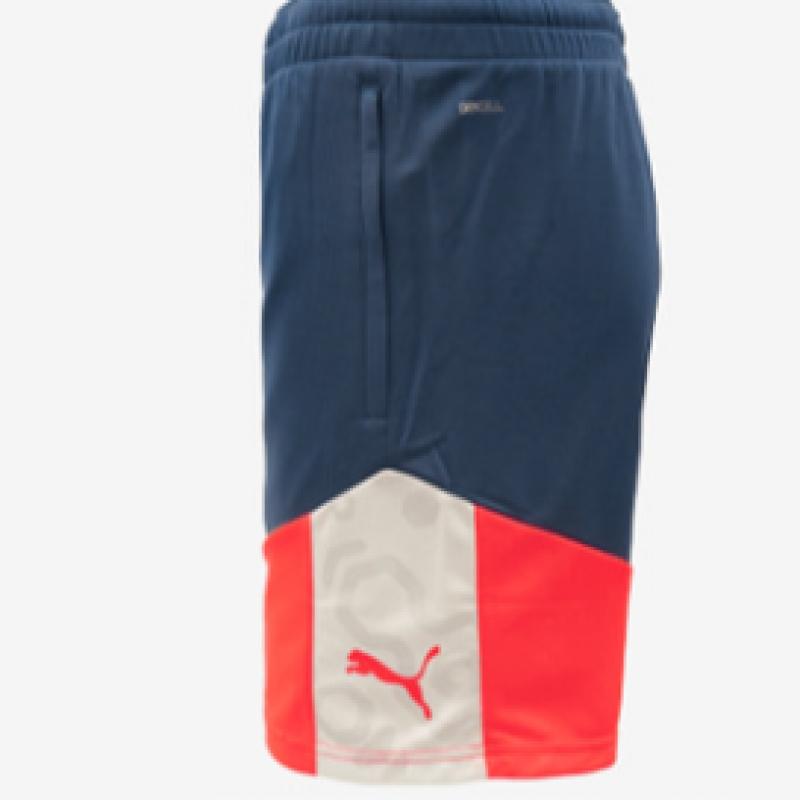 Puma Galleria Puma Men S Athletic fitneSS ShortS Individual viSual Cup aSia Sp