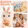 Plush Toys, Figurines, Plush Dolls And Cartoons