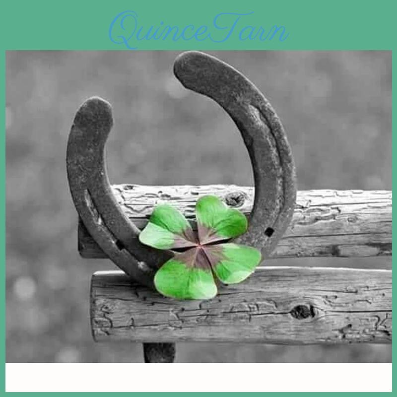 Diy Horseshoe Painting 5d Diamond And Flower Cross Stitch Kit Mosaic Diamond Embroidery Rose Full Roundsquare Drill Home Decoration