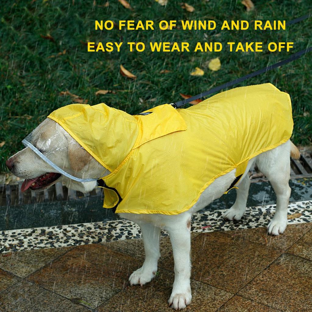 tiny dog raincoat