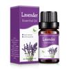 10ml Car Perfume Water-soluble Air Freshener Aroma Diffuser Air Humidifier Essential Oils Freshener Scents Fragrance Oil Perfume