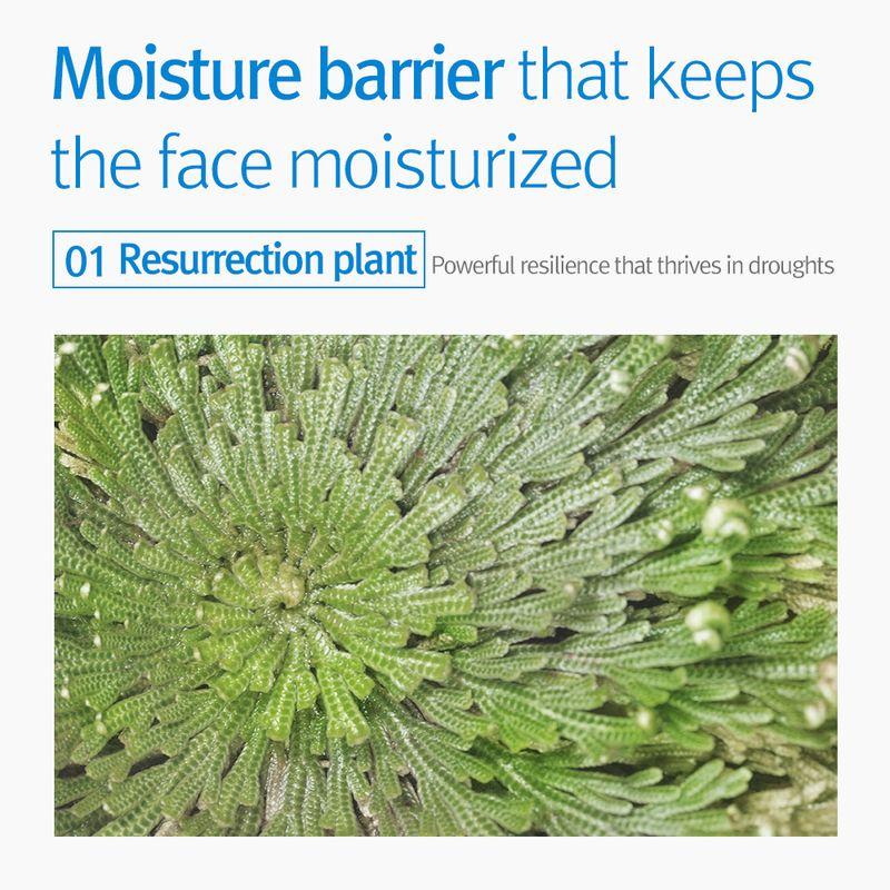 [Pyunkang Yul] Kids & Baby Cream 400ml