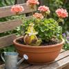 Practical Frogs Sculpture Functioning As Ornament and Garden Decoration for Stylish Home and Garden Enhancement