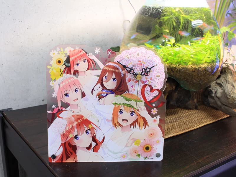 Seasonal Plants The Quintessential Quintuplets Acrylic Table H190 x Made of Acrylic Clock, Approx. W190mm,